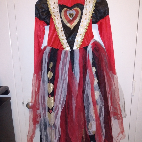 Costume - Picture 1 of 3